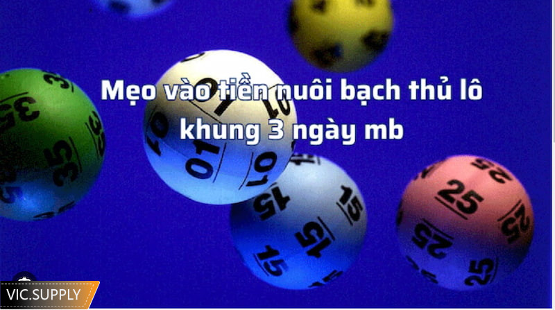 Mẹo nuôi lô bạch thủ khung 3 ngày dễ áp dụng nhất