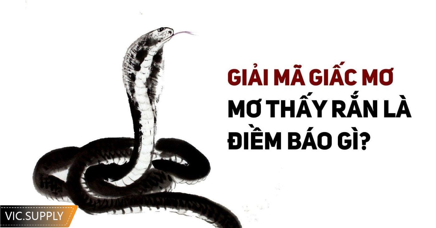 Nằm mơ thấy rắn cắn đánh số gì, con gì may mắn?