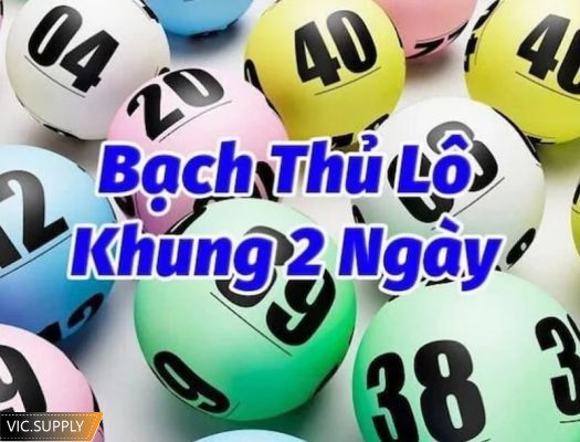 nuôi lô bạch thủ khung 2 ngày