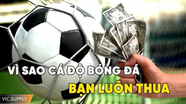 vì sao cá độ bóng đá luôn thua